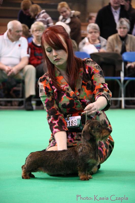 Crufts2011_2 1205.jpg